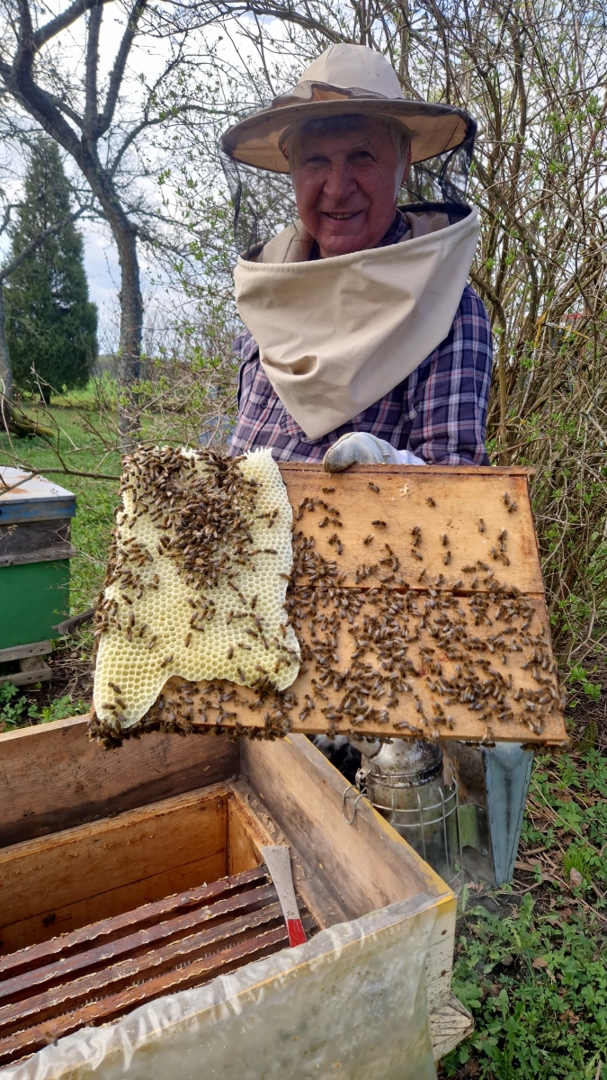 Biškopis Almants Štelcs