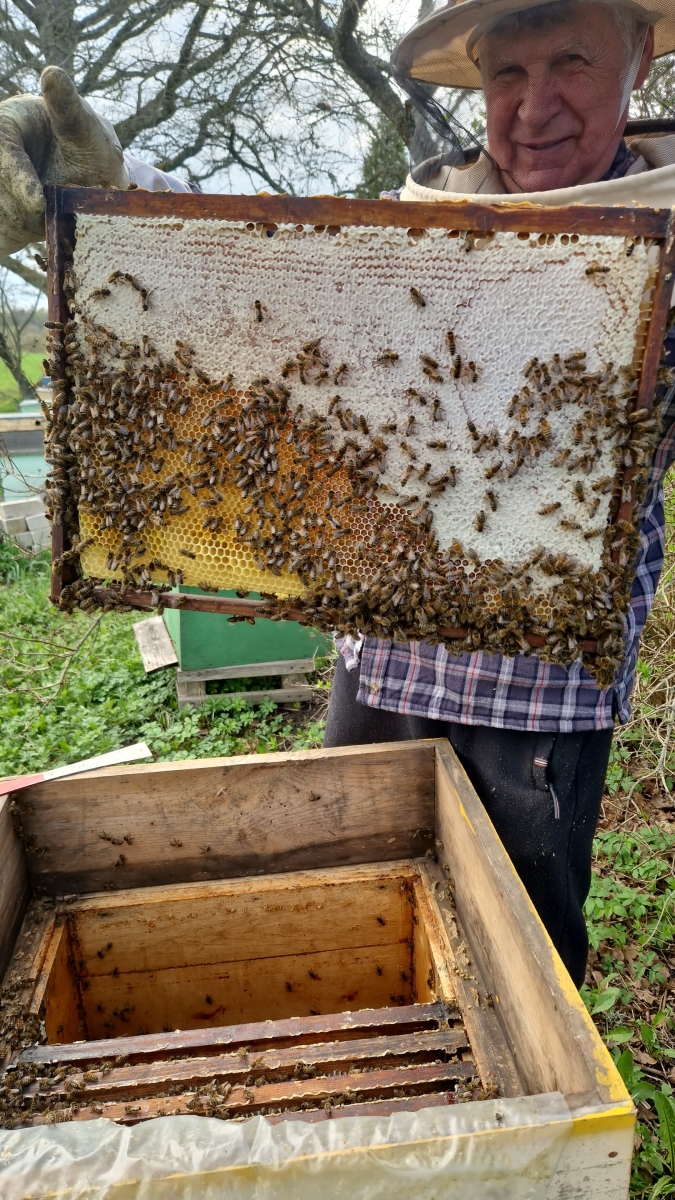 Pirmais 2025. gada medus