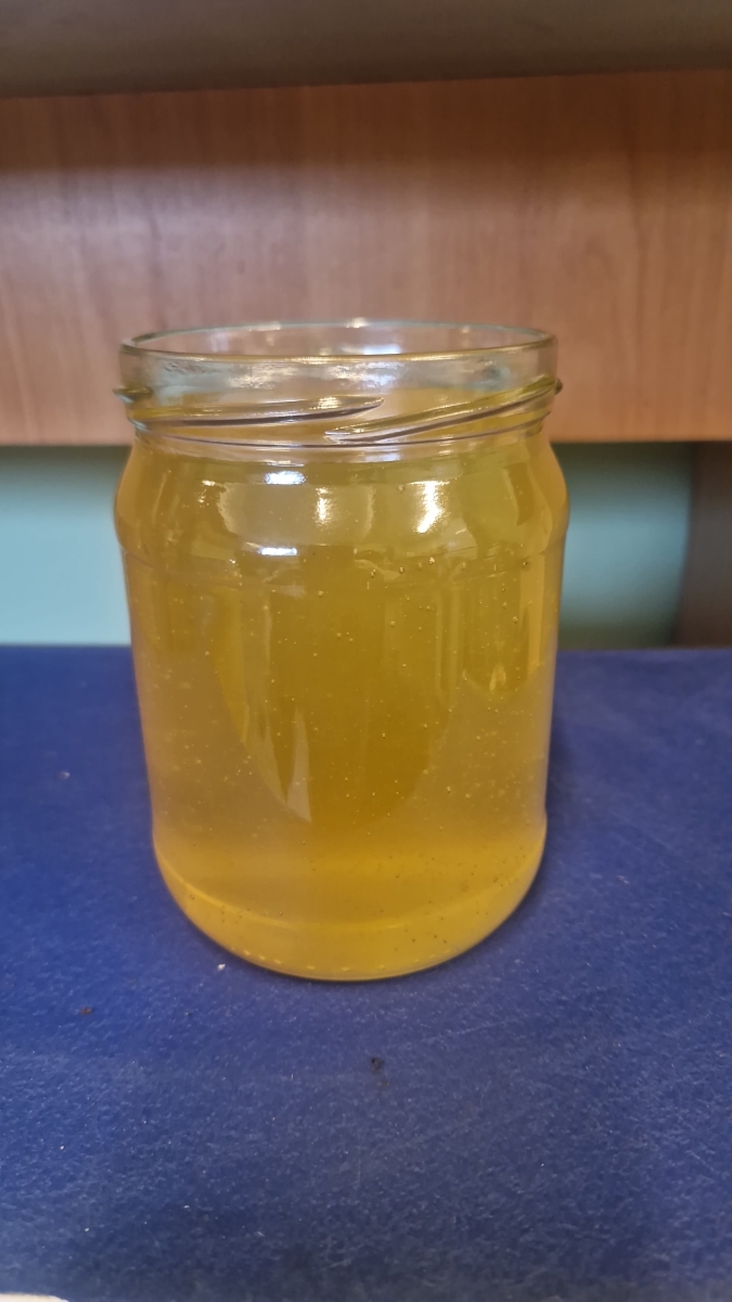 Pavasara ziedu medus 2025