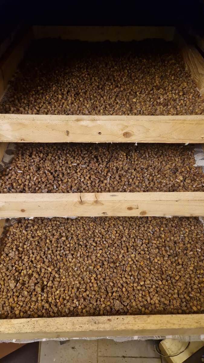 Bišu maizes žāvēšana