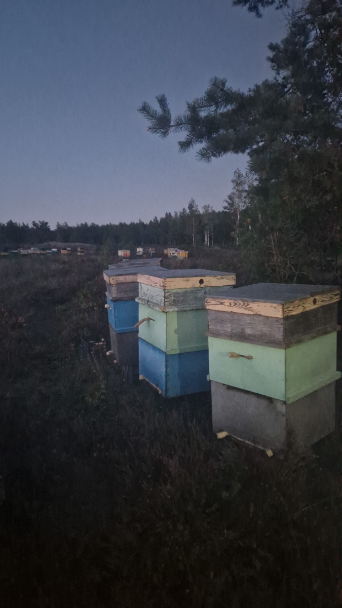 Bišu dravu pārvietošana